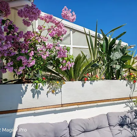 Apartment T3 Terrasse Classe 4 Etoiles Le Poulpe 200m Front De *